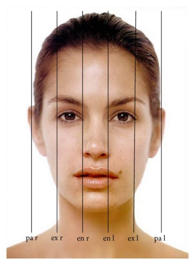 The Ideal Face and Profile: Here’s What Mathematics Says About Beauty